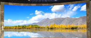 “海外客戶最關(guān)心的LED屏參數(shù):不是分辨率，而是這個(gè)..